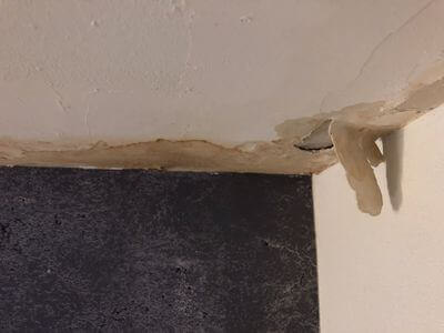 Professional mold removal san diego ca services in San Diego